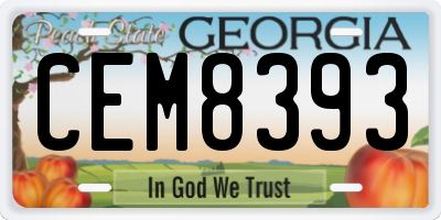 GA license plate CEM8393
