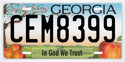GA license plate CEM8399