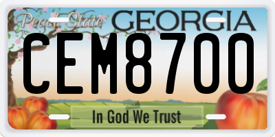 GA license plate CEM8700