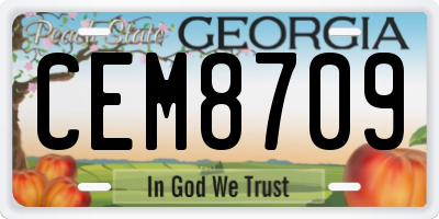 GA license plate CEM8709