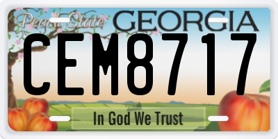 GA license plate CEM8717