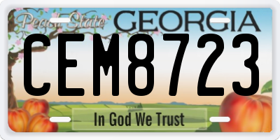 GA license plate CEM8723