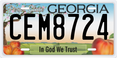 GA license plate CEM8724