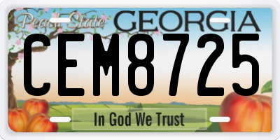 GA license plate CEM8725