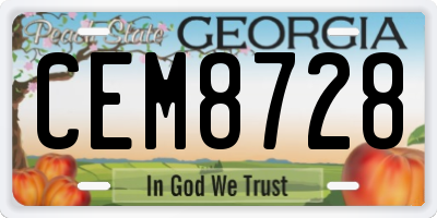 GA license plate CEM8728