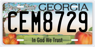 GA license plate CEM8729