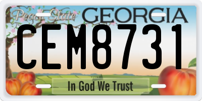 GA license plate CEM8731