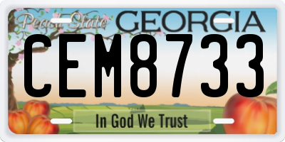 GA license plate CEM8733