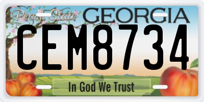 GA license plate CEM8734