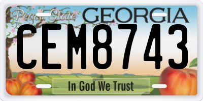 GA license plate CEM8743