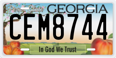 GA license plate CEM8744