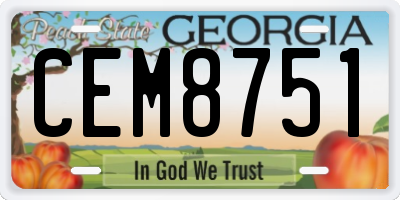 GA license plate CEM8751