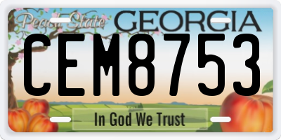 GA license plate CEM8753