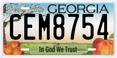 GA license plate CEM8754