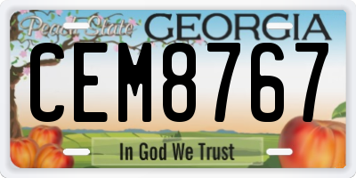 GA license plate CEM8767