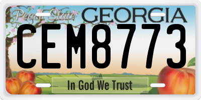 GA license plate CEM8773