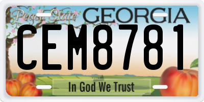 GA license plate CEM8781