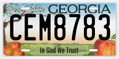 GA license plate CEM8783