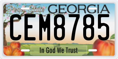 GA license plate CEM8785