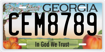 GA license plate CEM8789