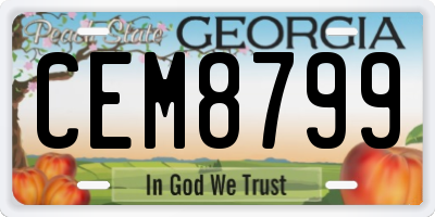 GA license plate CEM8799