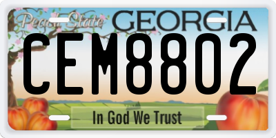 GA license plate CEM8802