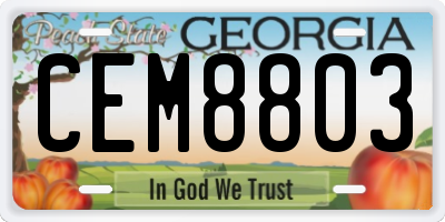 GA license plate CEM8803