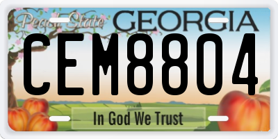 GA license plate CEM8804