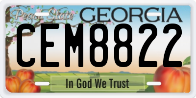 GA license plate CEM8822