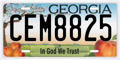 GA license plate CEM8825
