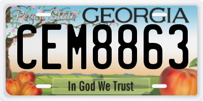 GA license plate CEM8863