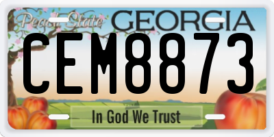 GA license plate CEM8873