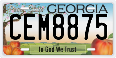 GA license plate CEM8875
