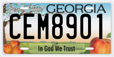 GA license plate CEM8901