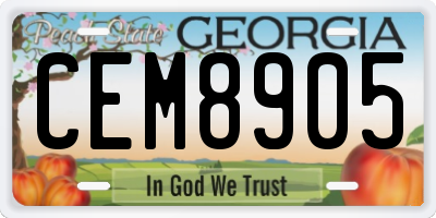 GA license plate CEM8905