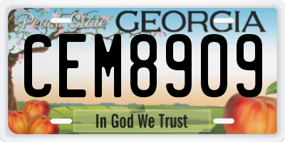 GA license plate CEM8909
