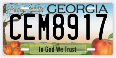 GA license plate CEM8917