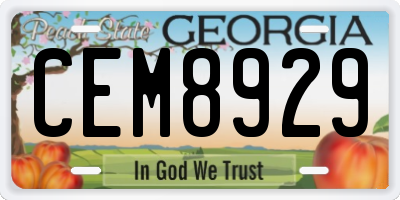 GA license plate CEM8929