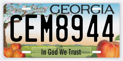 GA license plate CEM8944