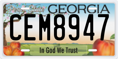 GA license plate CEM8947