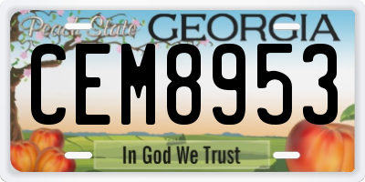 GA license plate CEM8953