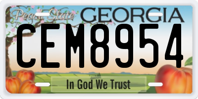 GA license plate CEM8954