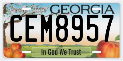 GA license plate CEM8957