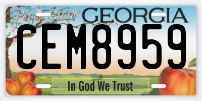 GA license plate CEM8959