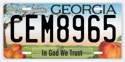GA license plate CEM8965