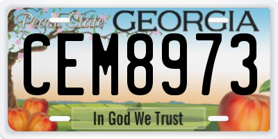 GA license plate CEM8973