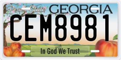 GA license plate CEM8981