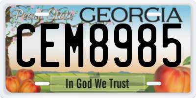 GA license plate CEM8985