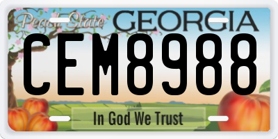GA license plate CEM8988