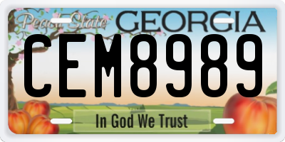 GA license plate CEM8989
